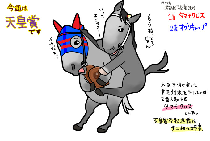 伝説の【2017年10月28・29日の芦毛さんと白毛さん】