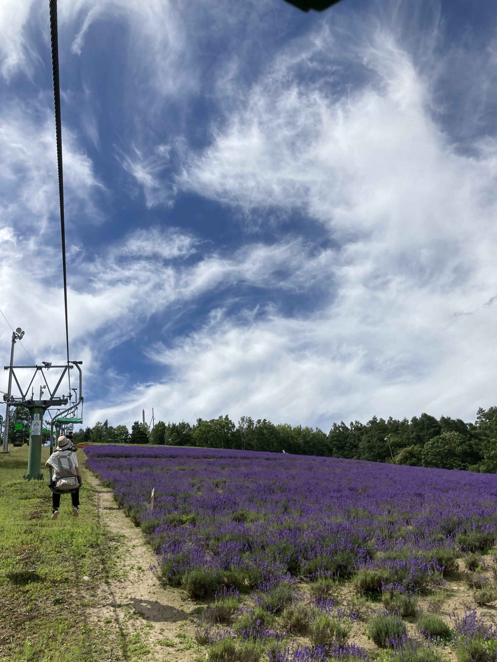 北海道観光】北星山ラベンダー園/所要時間は？駐車場は？見頃は？解説