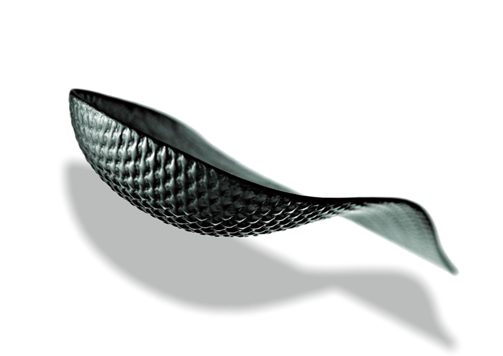 NWPLインソール ノースウェスト スーパーグラス 足底挿板 NWPLインソール ノースウェスト スーパーグラス 足底挿板 - メルカリ