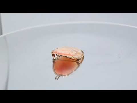 シェルカメオ APA From ITALY ペンダントブローチ | 芦屋Antico