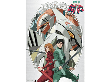 聖戦士ダンバイン」がニューマスターポジの2Kスキャン、HDリマスターで