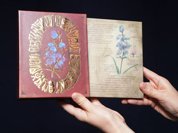 UHD BD発売に向けこだわりのHDR化、「メアリと魔女の花」超高画質を