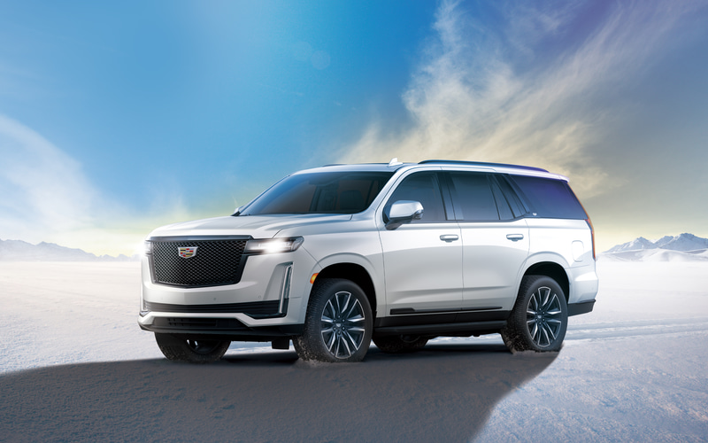 キャデラック、白×黒で存在感とエレガントな美しさを際立たせた特別