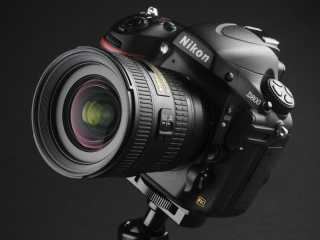 交換レンズ実写ギャラリー：ニコンAF-S NIKKOR 18-35mm F3.5-4.5 G ED