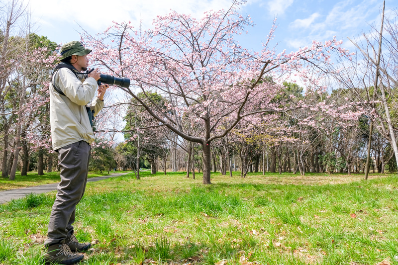 野鳥撮影の入門に最適な機動力に優れる超望遠ズーム - デジカメ Watch