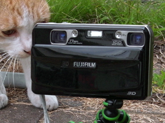 切り貼りデジカメ実験室：「FinePix REAL 3D W1」撮り方のコツと“立体