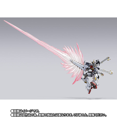 METAL BUILD クロスボーン・ガンダムX1 ハーフクロス（キンケドゥ搭乗
