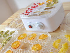 サンコー、好みの味付けでビーフジャーキーが作れる食品乾燥機 - 家電