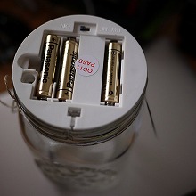 季節外れの“テクノロジー超蝶”「キアゲハ」を見て自然を考える