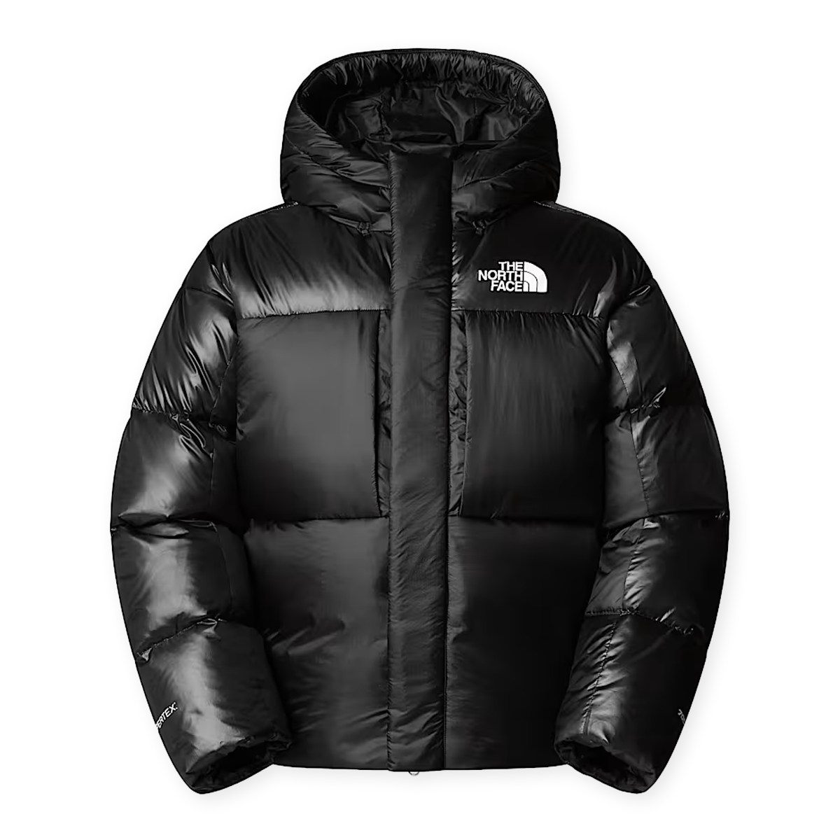 Buy The North Face Pertex Down Jacket in black | NF0A8DQBJK31