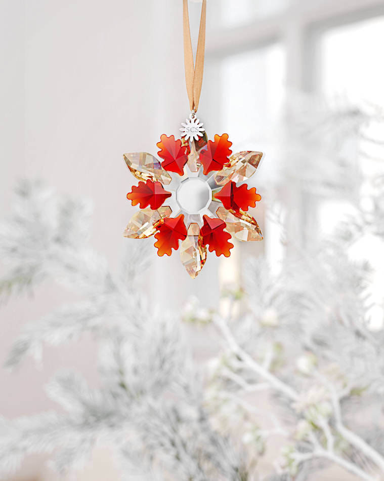 SCS Anniversary | Swarovski JP