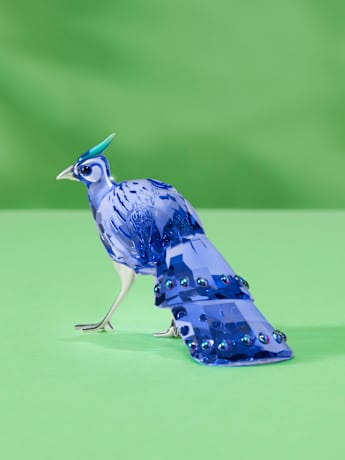 SCS年度限定品コレクション | Swarovski JP