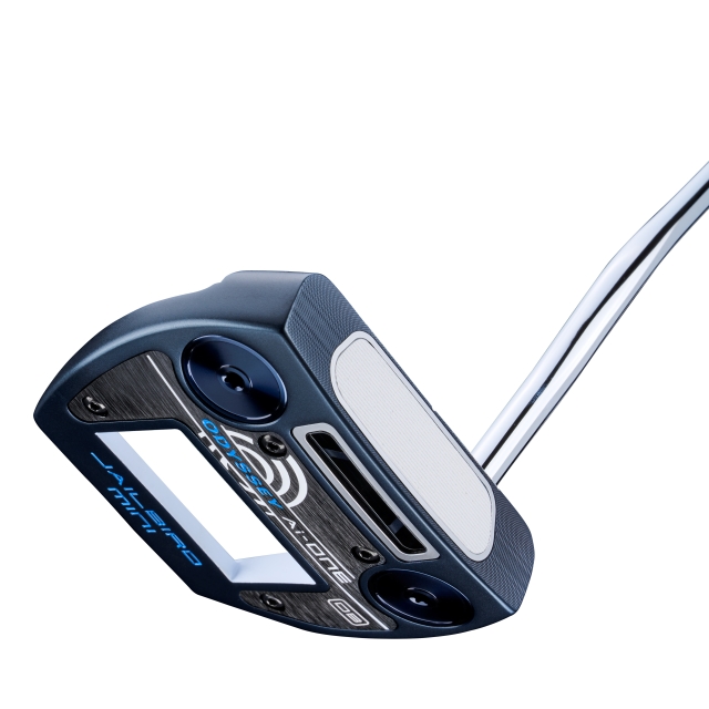 エーアイワン ジェイルバードミニ CH／Ai-ONE JAILBIRD MINI CH パター