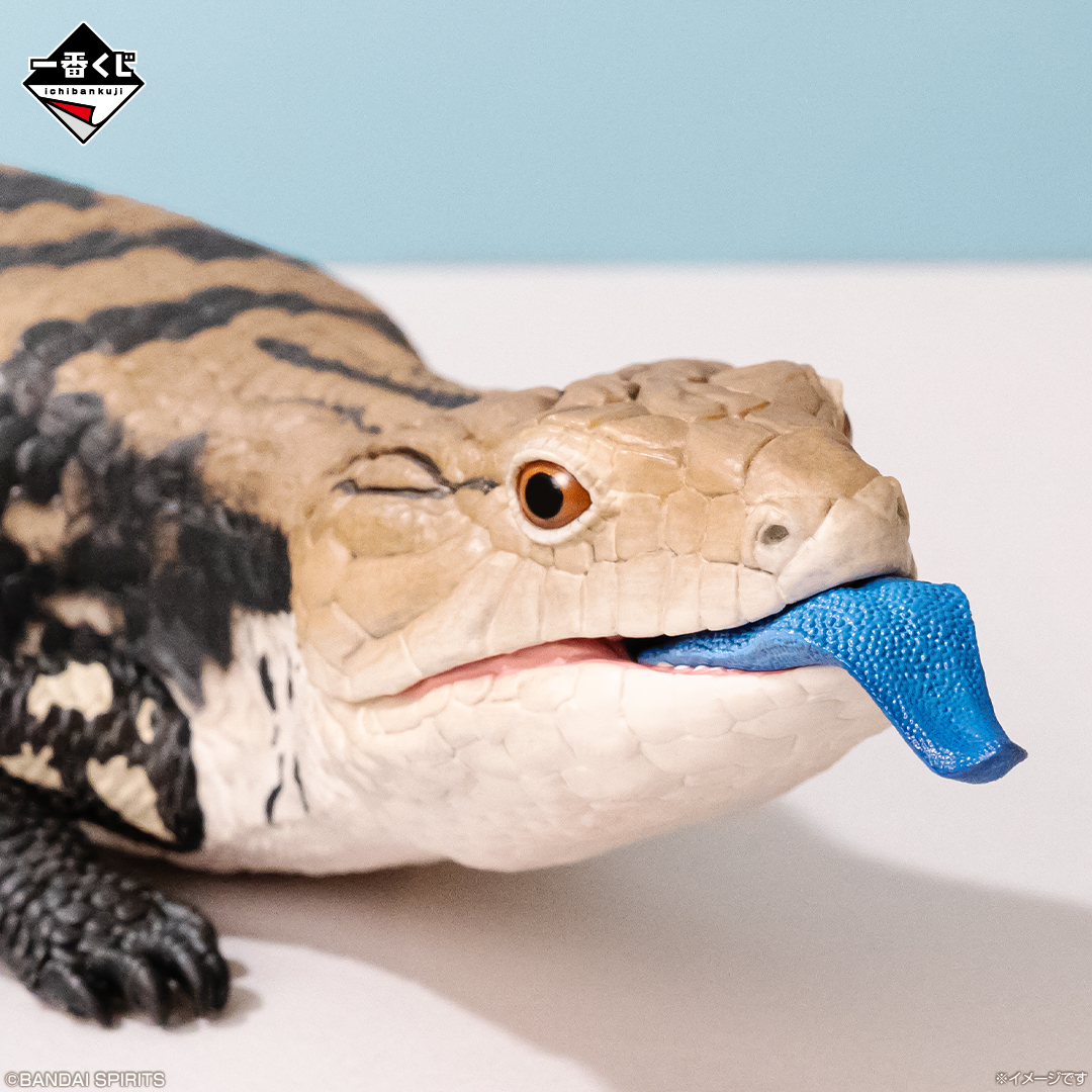一番くじ 爬虫類＆両生類～Tiny Friends～vol.2｜一番くじ倶楽部