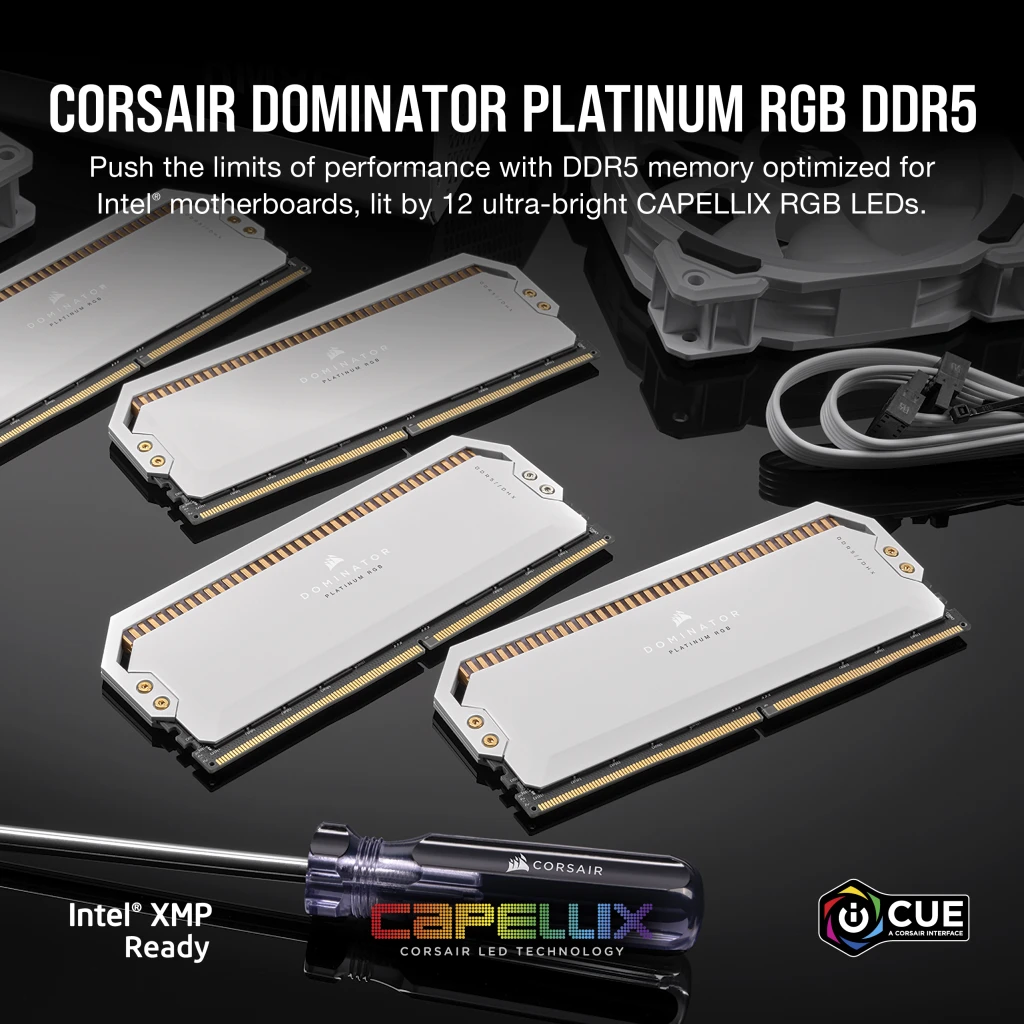 DOMINATOR® PLATINUM RGB 64GB (2x32GB) DDR5 DRAM 5600MHz C40 Memory