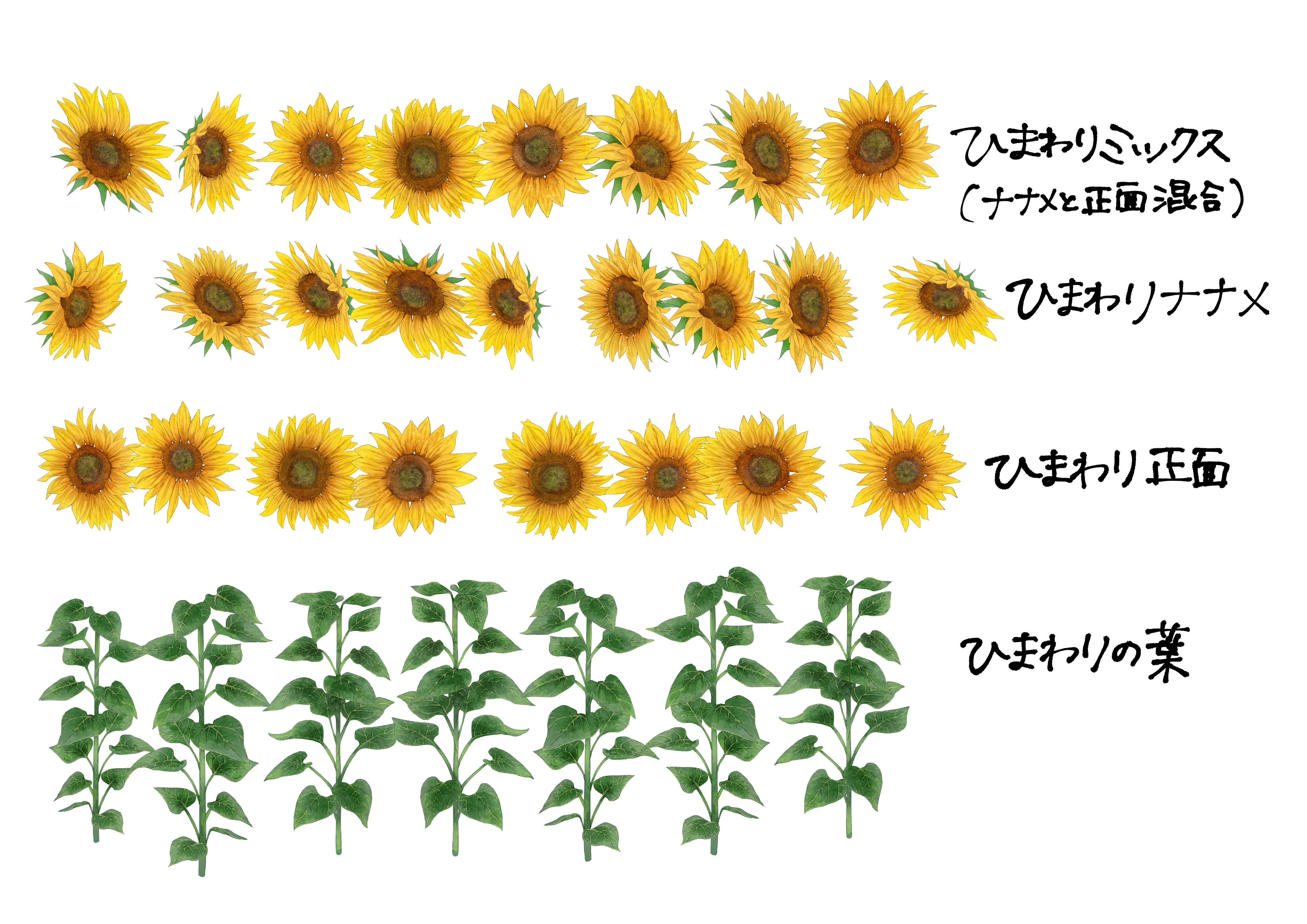 ひまわりブラシ - CLIP STUDIO ASSETS