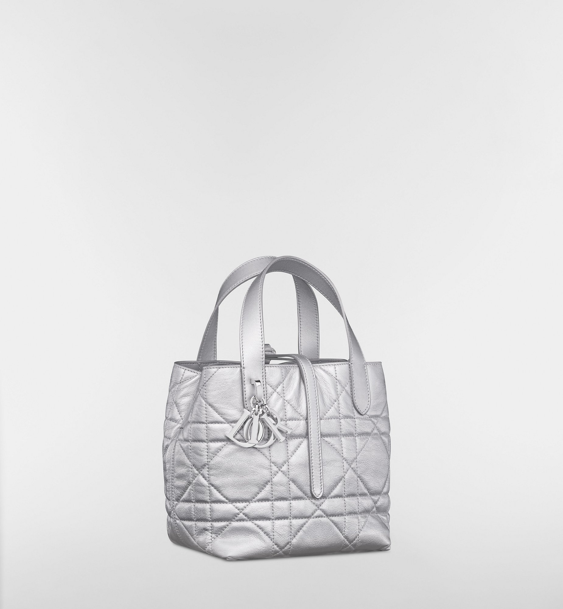 Small Dior Toujours Vertical Tote Bag Silver-Tone Iridescent