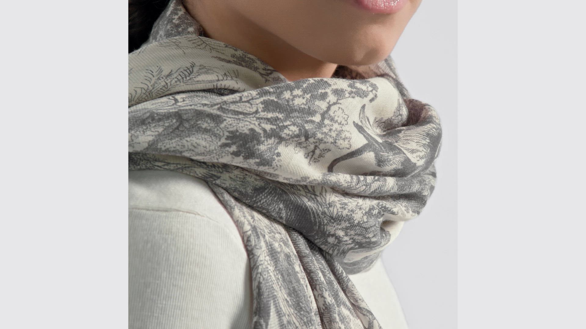 DIOR | ストール トワル ドゥ ジュイ ソヴァージュ カシミヤ