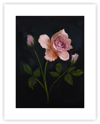 rose pink絵画3点 Pink Rose Flower Botanical Art Prints - Set of