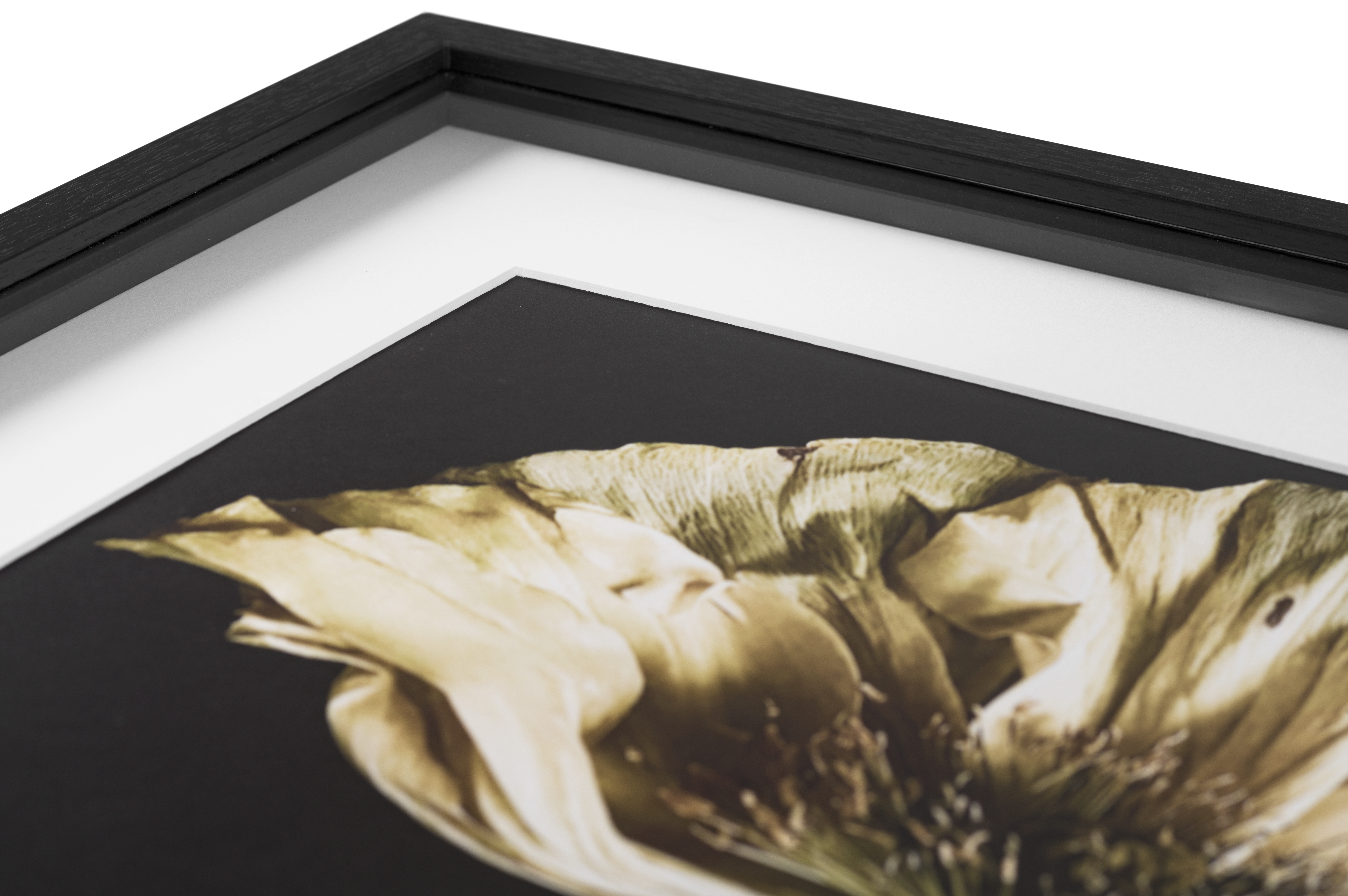 Modern Contemporary Wall Art | Contemporary Design | BoConcept