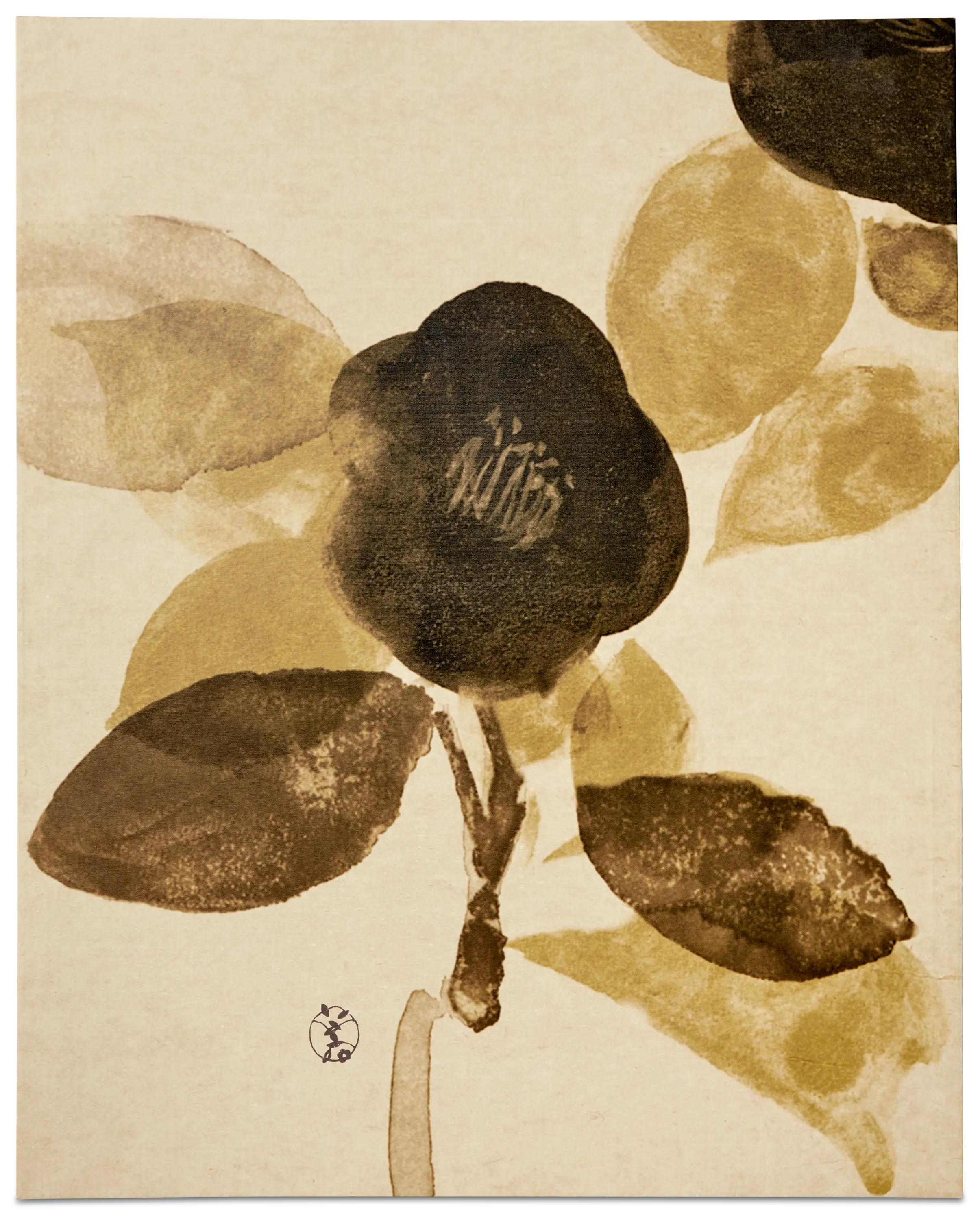 Climbing Barricades ギャラリー | Gallery | Climbing Barricades