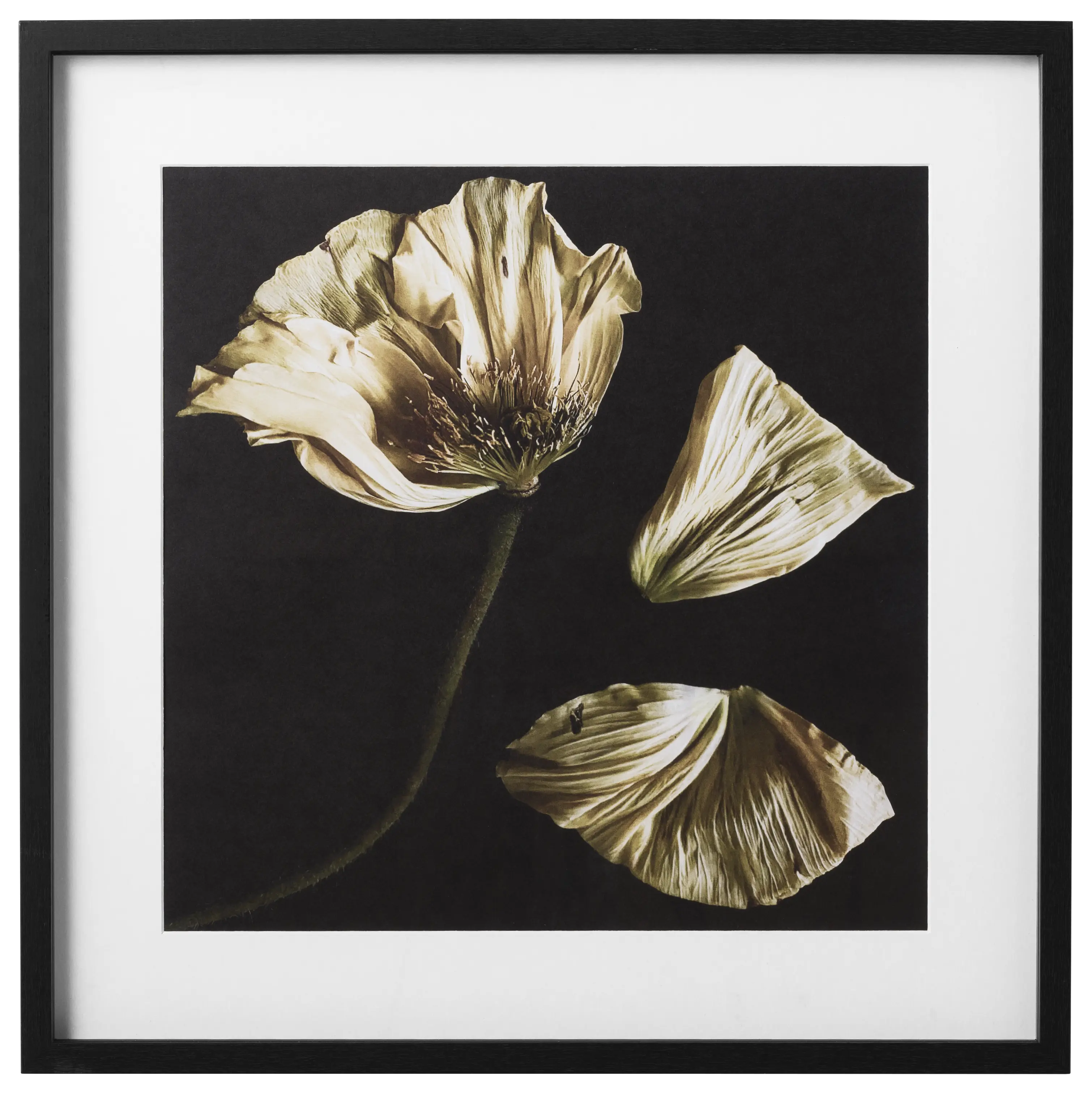 Modern Contemporary Wall Art | Contemporary Design - Black | BoConcept