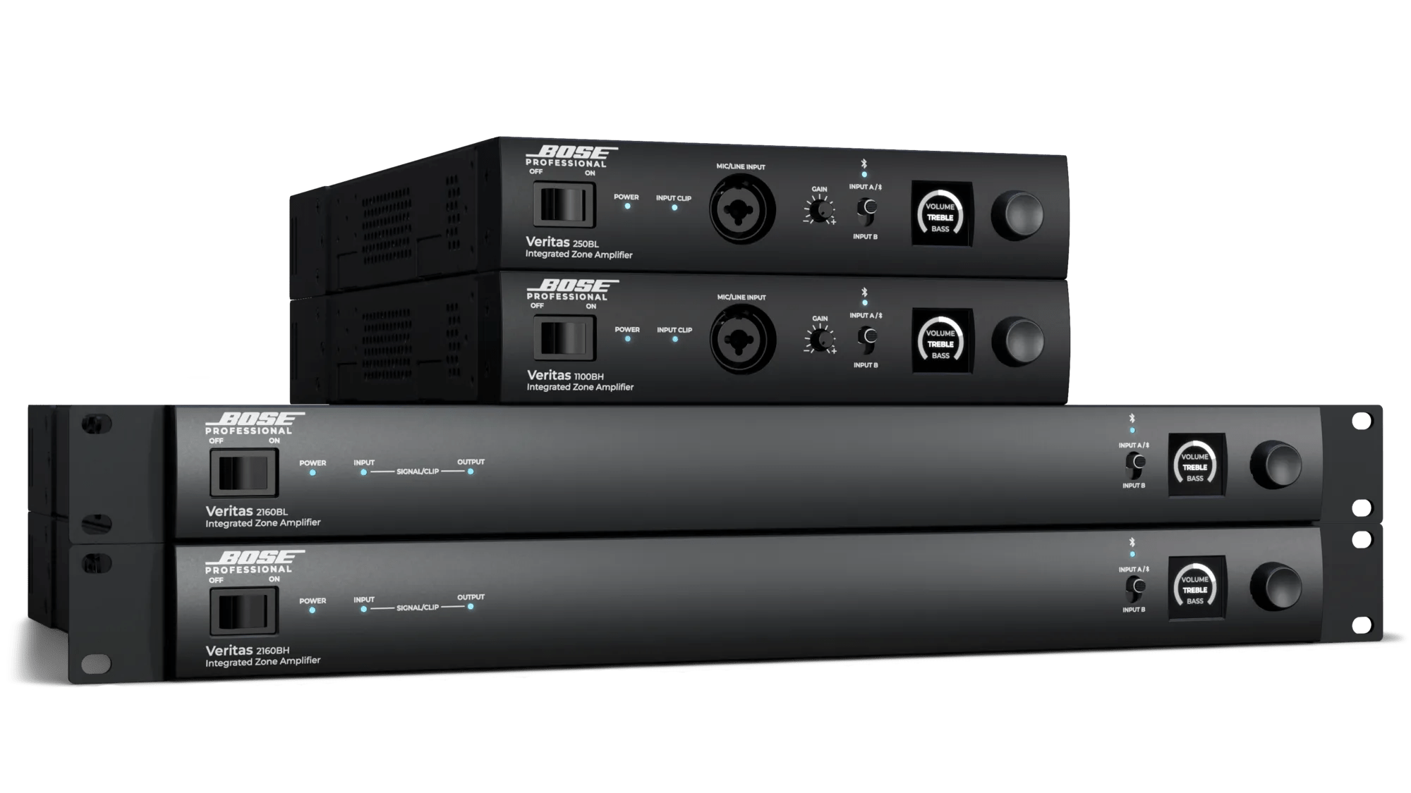 Veritas 250BL | Bose Professional