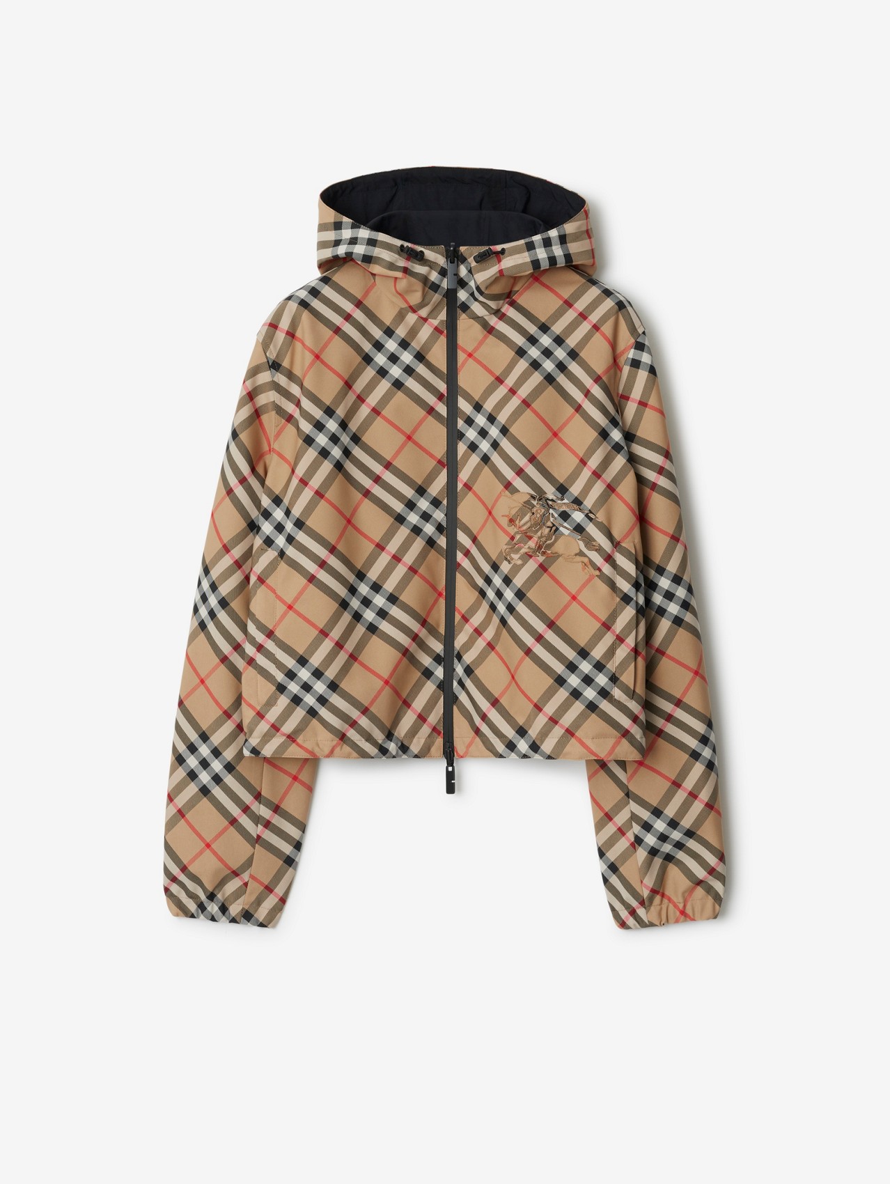 F1D55963-6239-4744-AFAA-