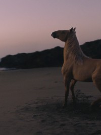 バーバリー ヒーロー」登場 | Burberry®公式サイト