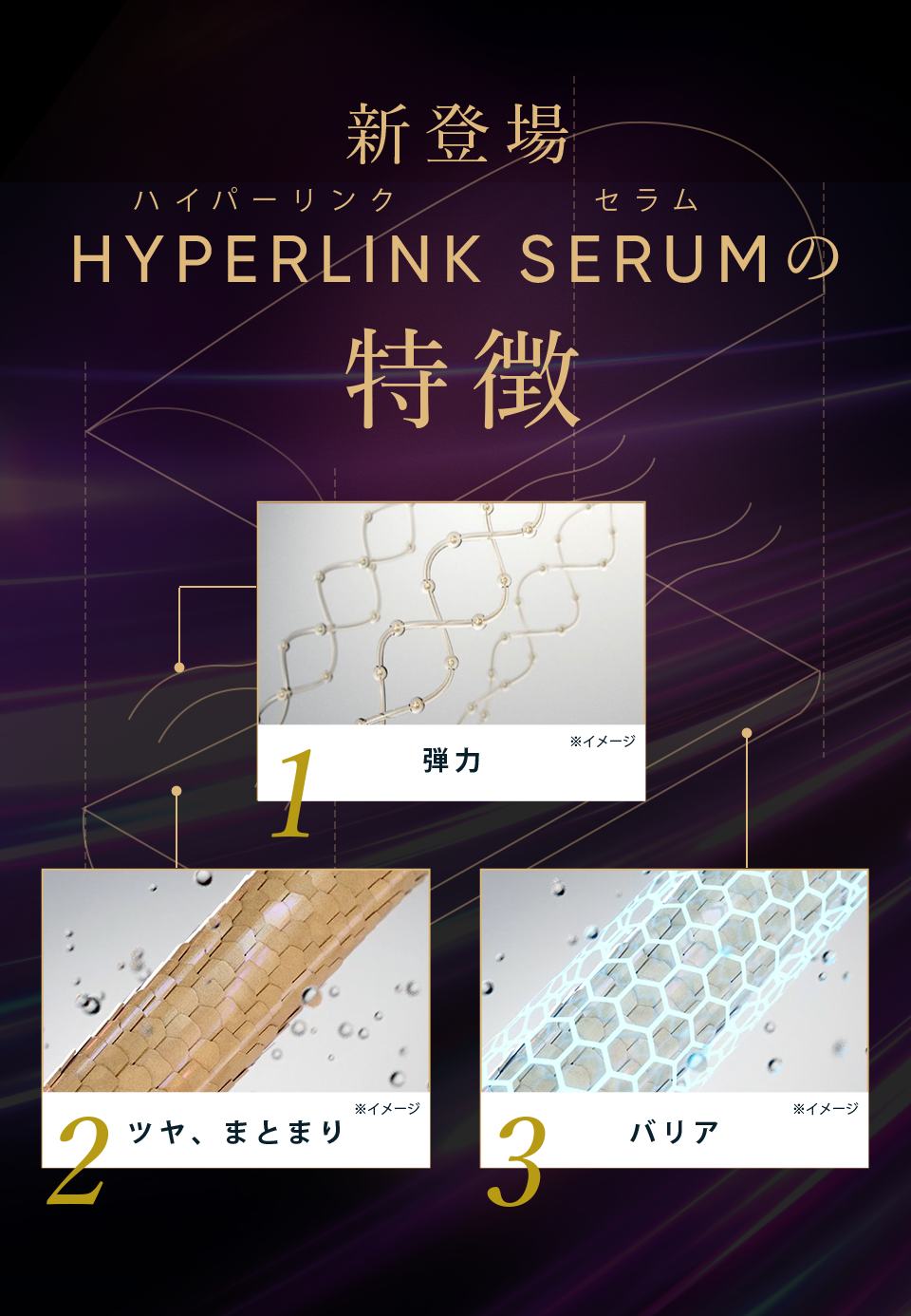 公式】CLUB MEDULLA