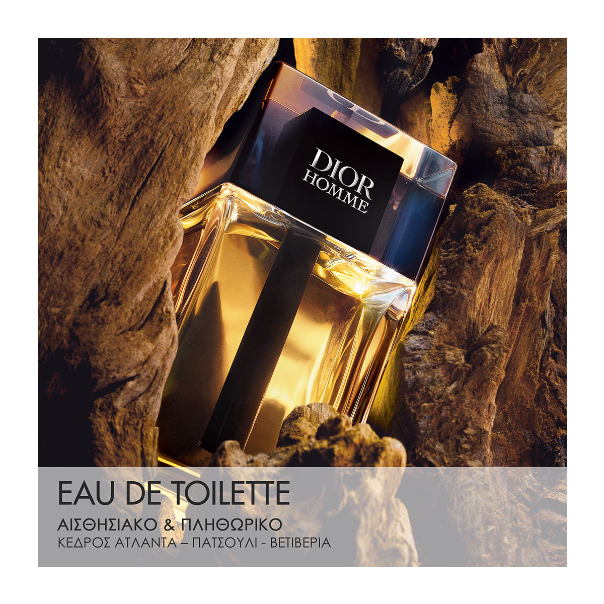 DIOR Dior Homme Set - Limited Edition Eau de Toilette and Travel