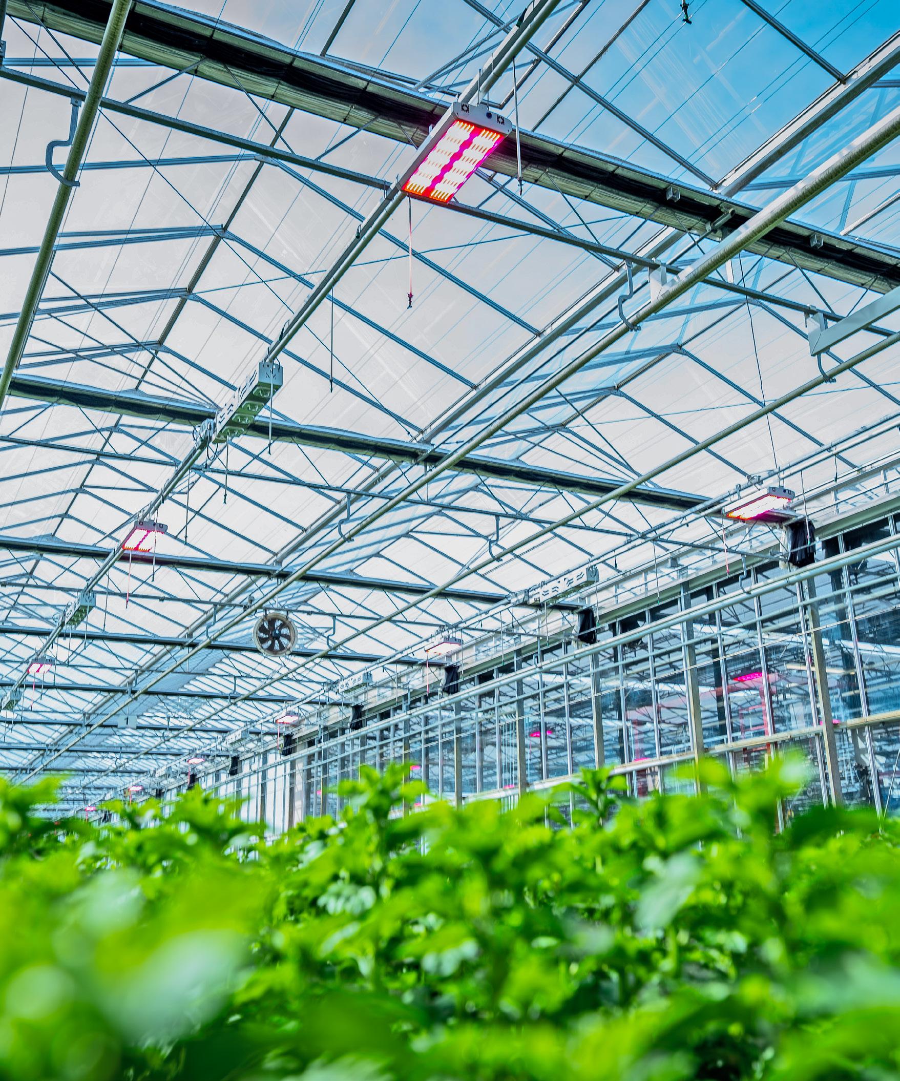 Greenhouseguide 2024/26 by AGF Vormgeving - Issuu