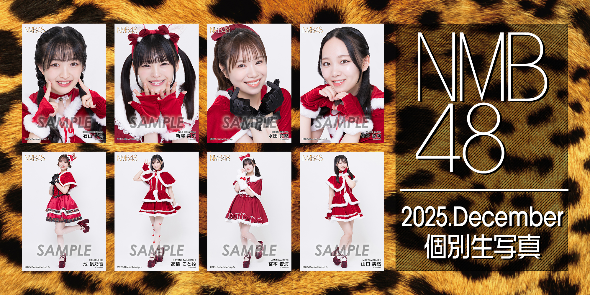 daaec40e9a72af5c5c8e3658ef64ca