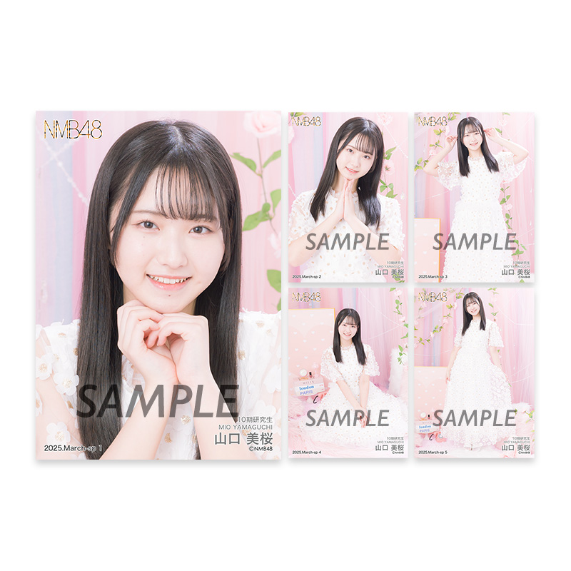 NMB48 生写真 BLT kawaiiNMB ツアーPHOTOBOOK セット NMB48 生写真 BLT