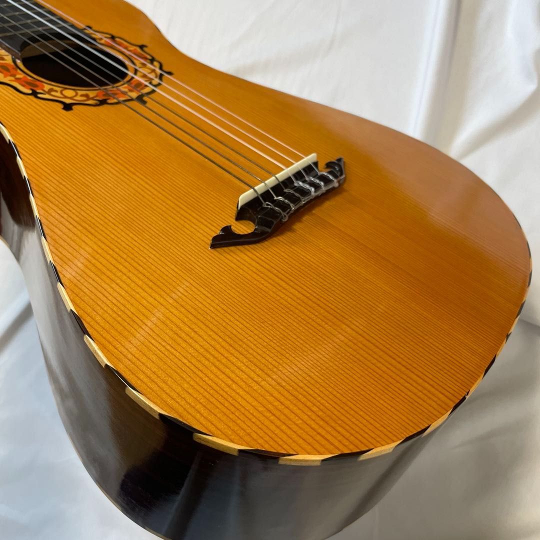 TAKEHARU GUITAR LGT-31B 純正ハードケース付き 630mmショートスケール