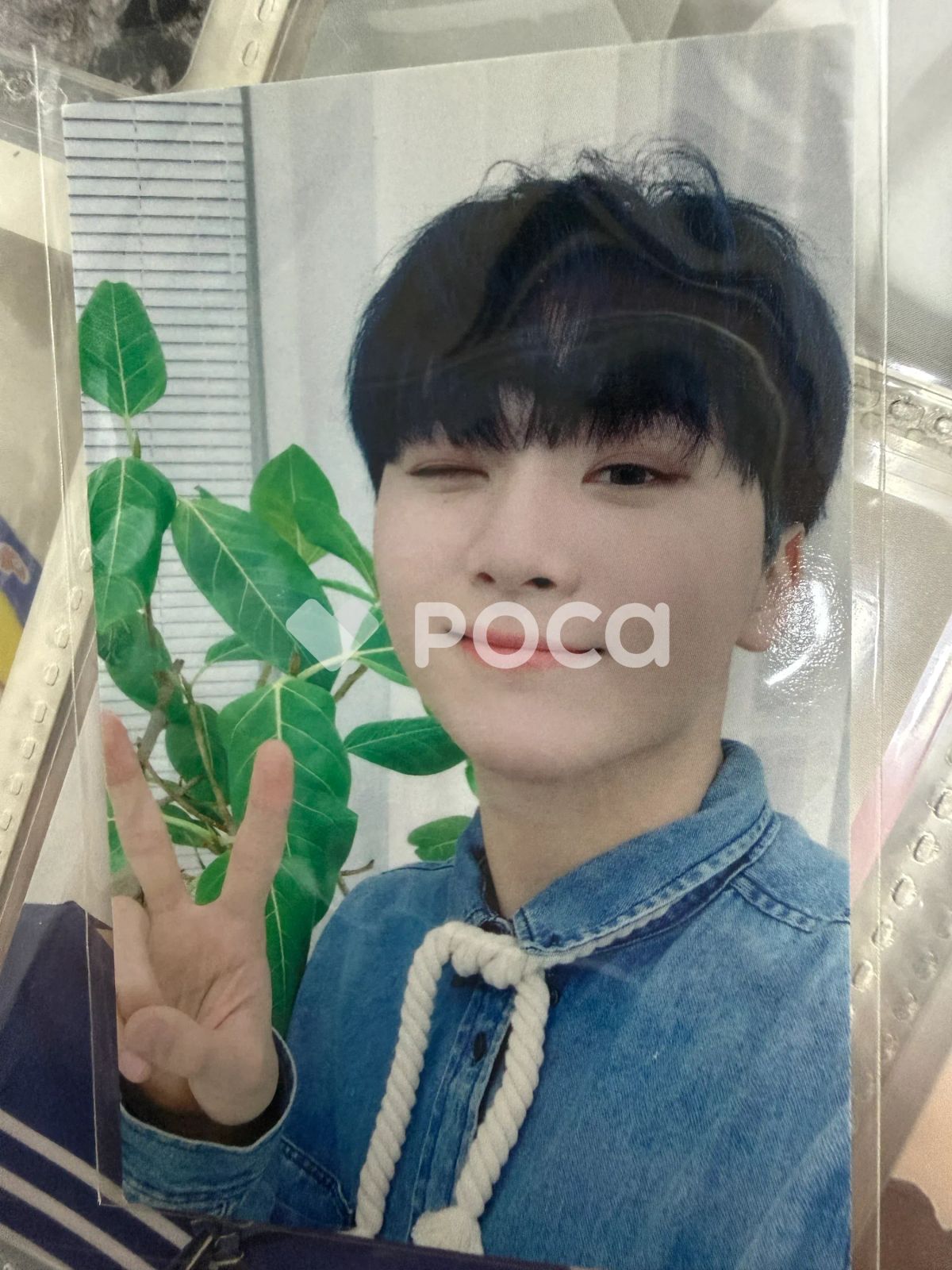 エスクプス サノク 公開収録 トレカ 限定 Your ChoiceSEVENTEEN