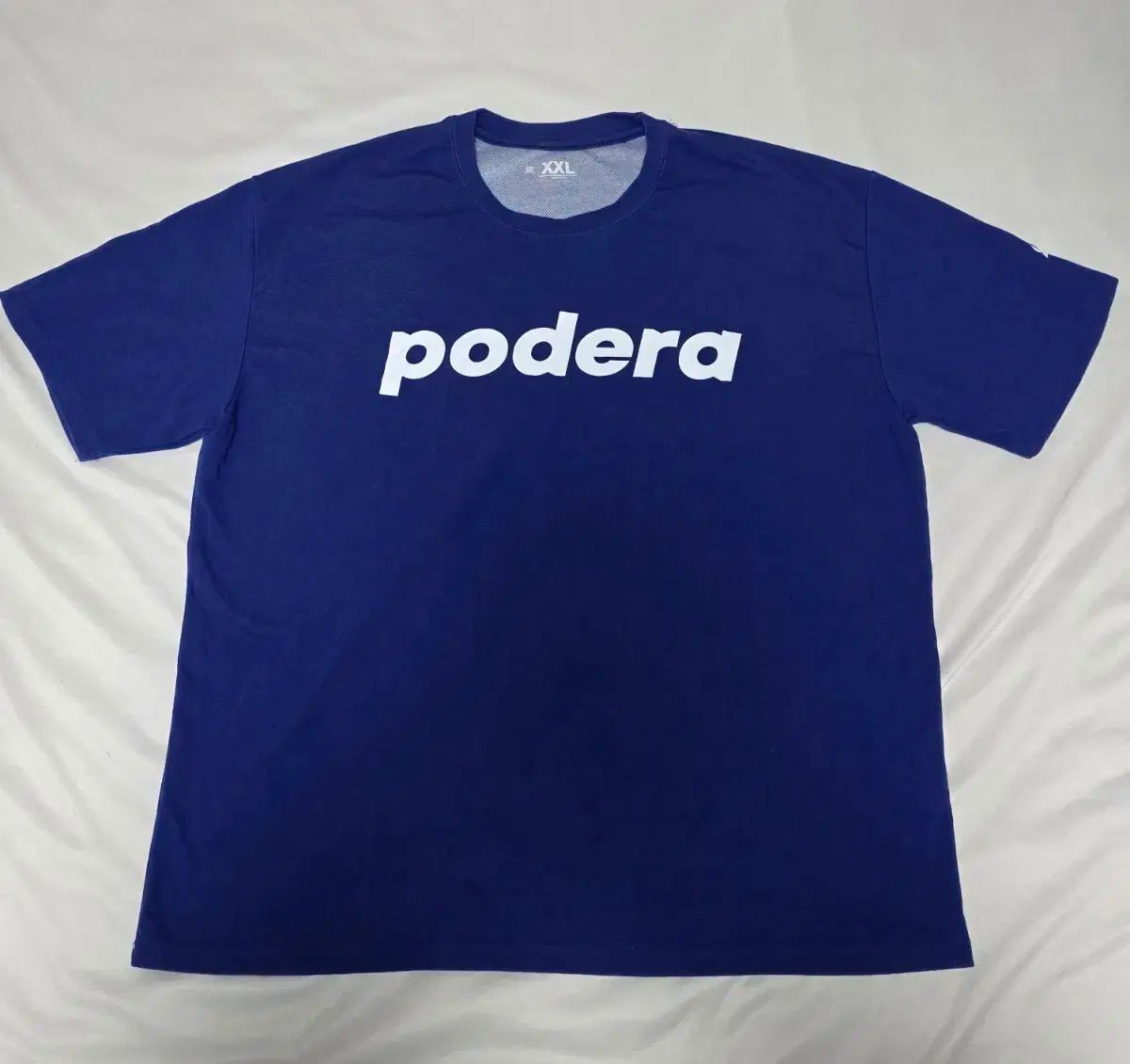 豊田光春作 輪島塗 漆芸画 美しい双鯉の絵 幅57cm/沈金蒔絵/漆塗り