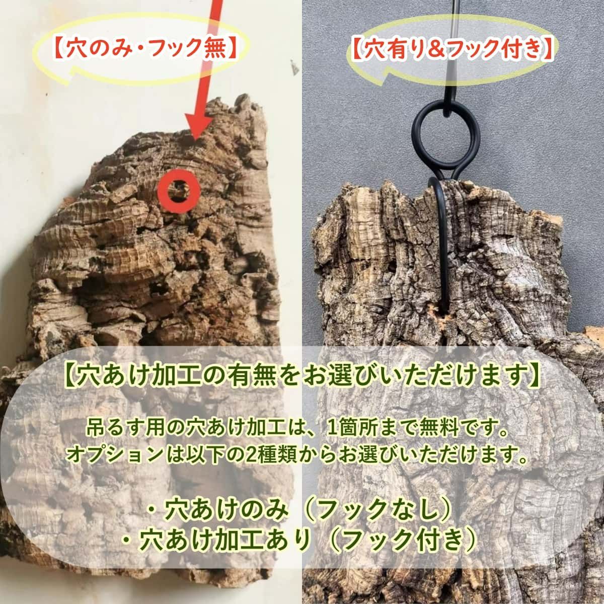 ポルトガル産コルク樹皮PL-102-10LL ポルトガル産コルク樹皮PL-102