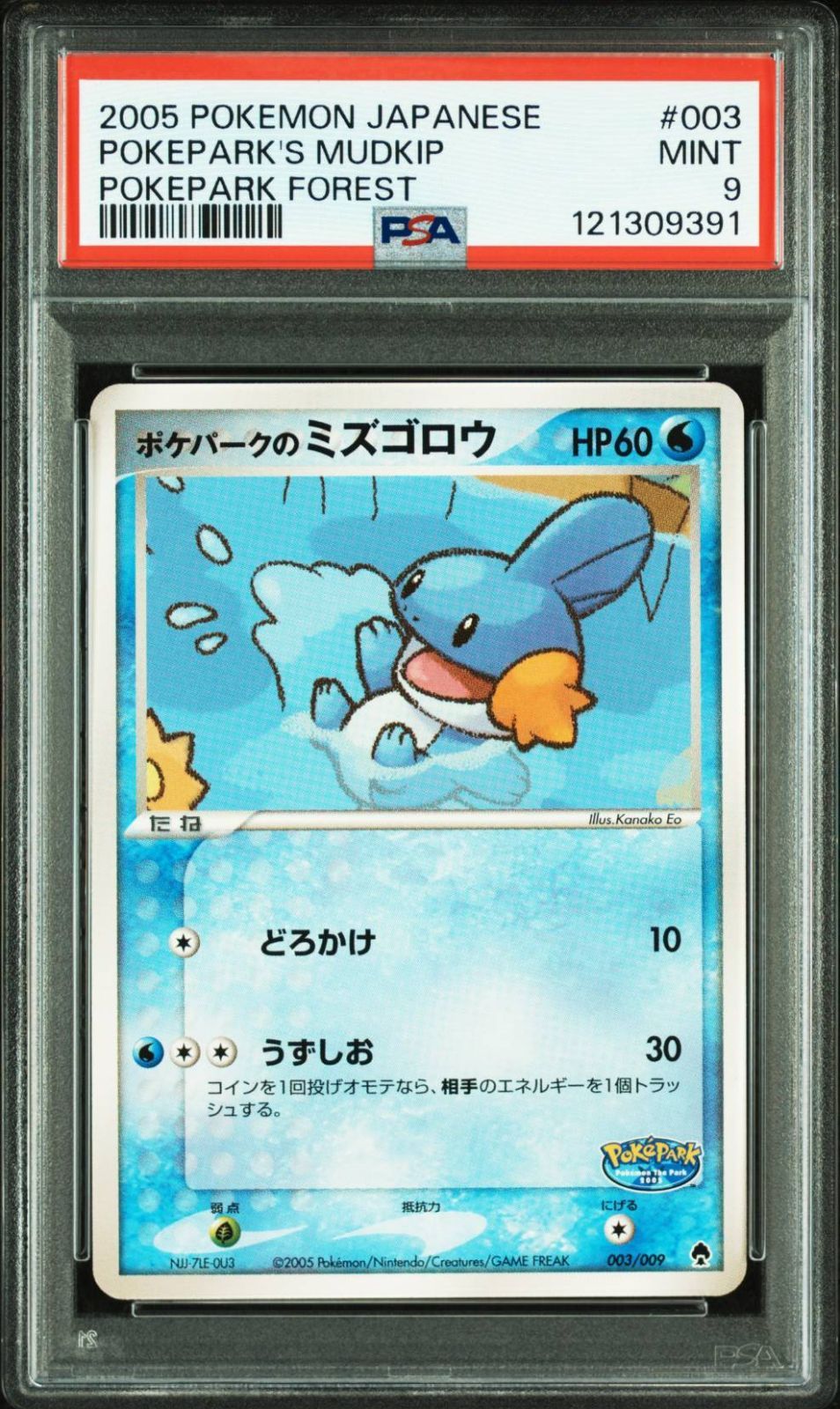 ポケパークのミズゴロウ PSA9 ポケパークプレミアムファイル 003/009