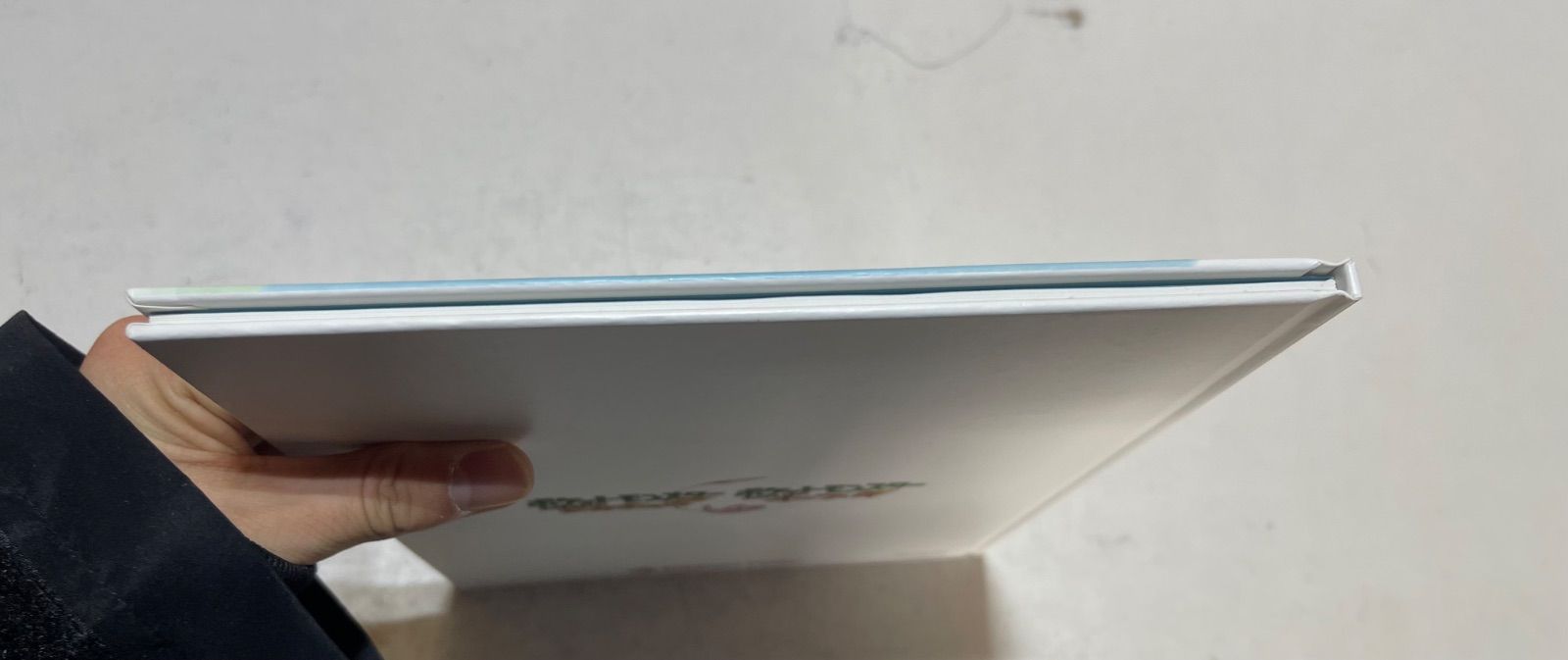 ポケモン レッツゴーピカチュウ イーブイ ポケセン特典 アートブック