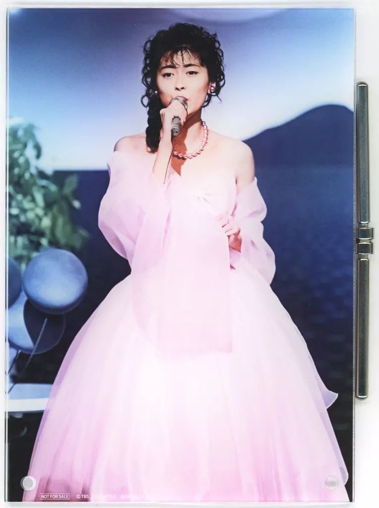 中古】アクリルスタンド・アクリルパネル 中山美穂 A5アクリルパネル