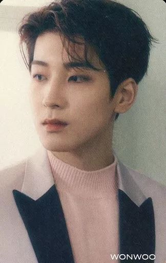 中古】コレクションカード(男性) SEVENTEEN/WONWOO(ウォヌ)/CD「JAPAN