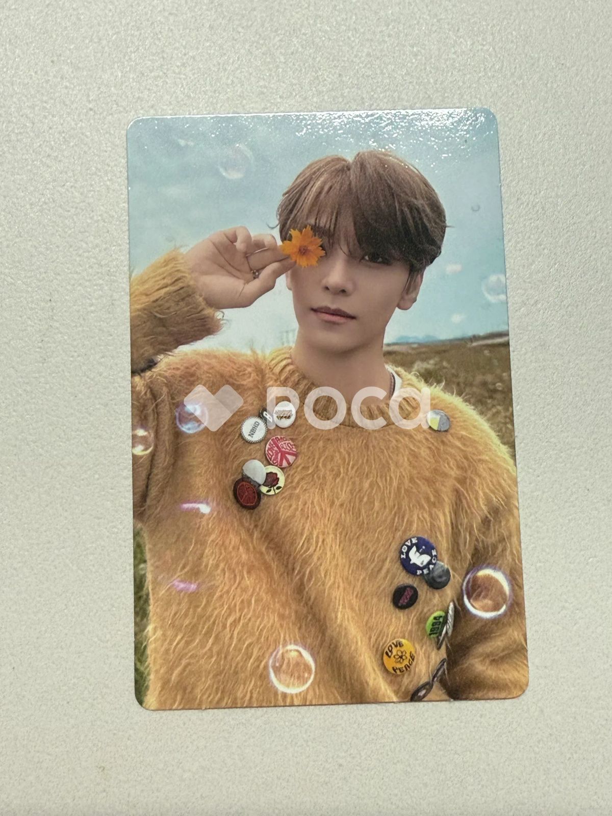 ALPHA DRIVE ONE シンロン EUPHORIA RANDOM TRADING PHOTO CARD SET