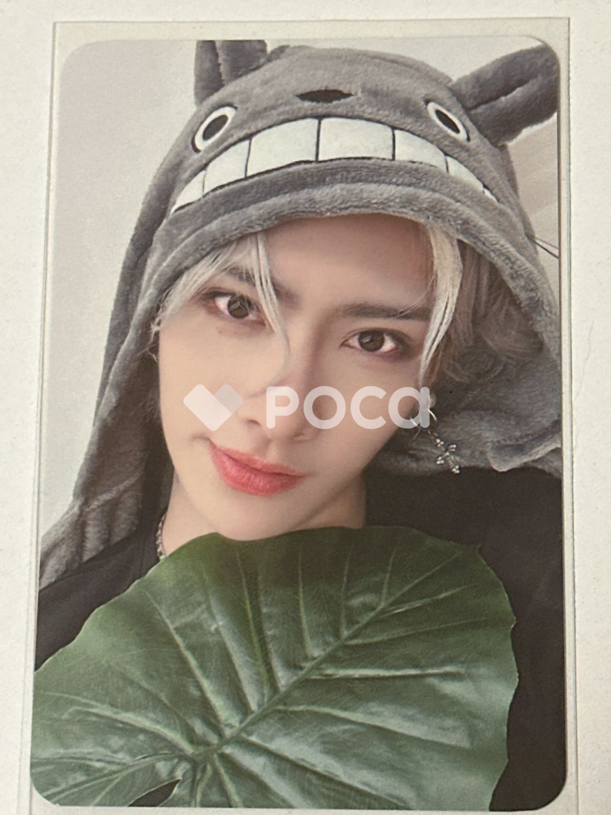 ZEROBASEONE リッキー MELTING POINT PHOTOBOOK ver. EVERLINE