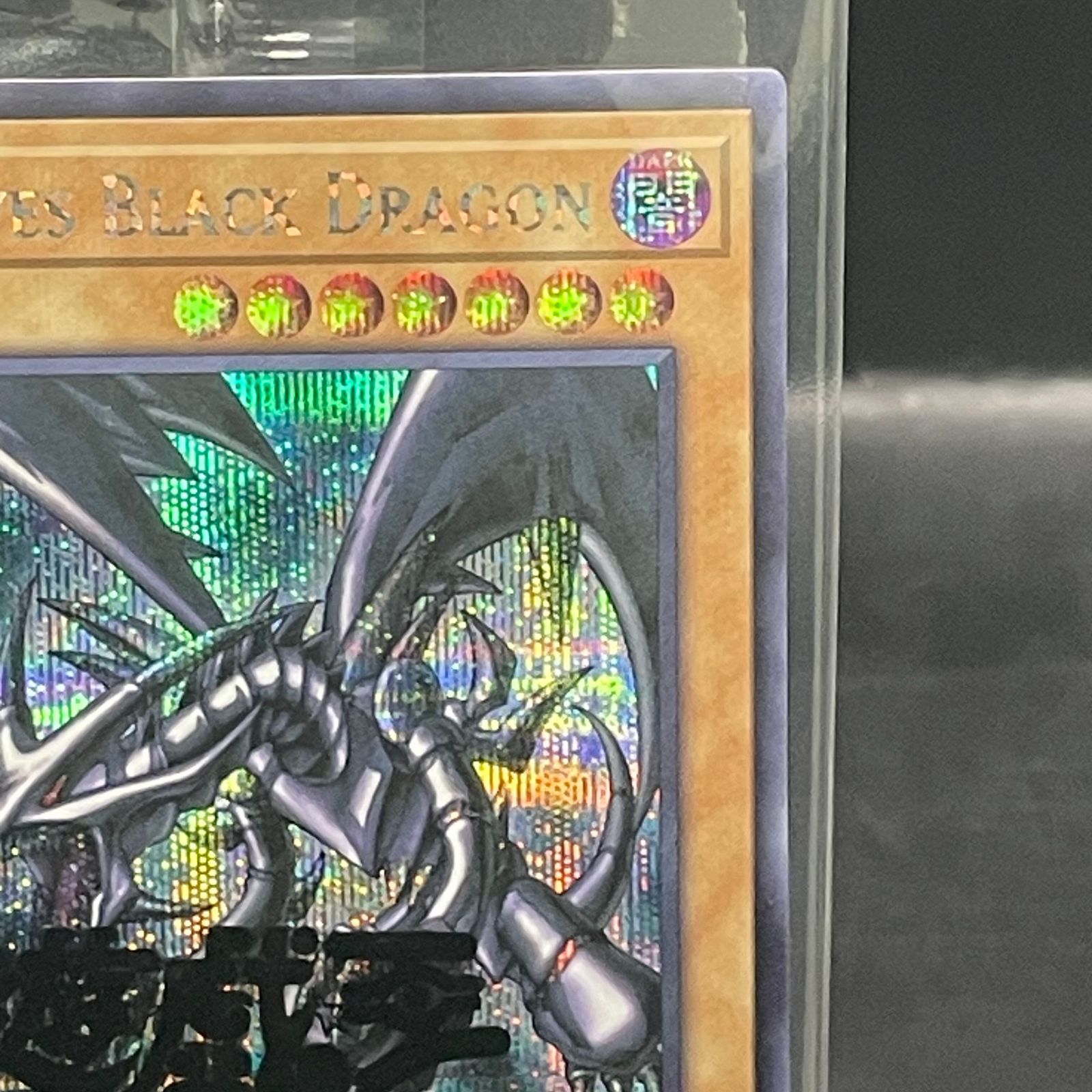 真紅眼の黒竜 (未開封/英語版/ナイキロゴ) [シークレット] {NKC1-EN002