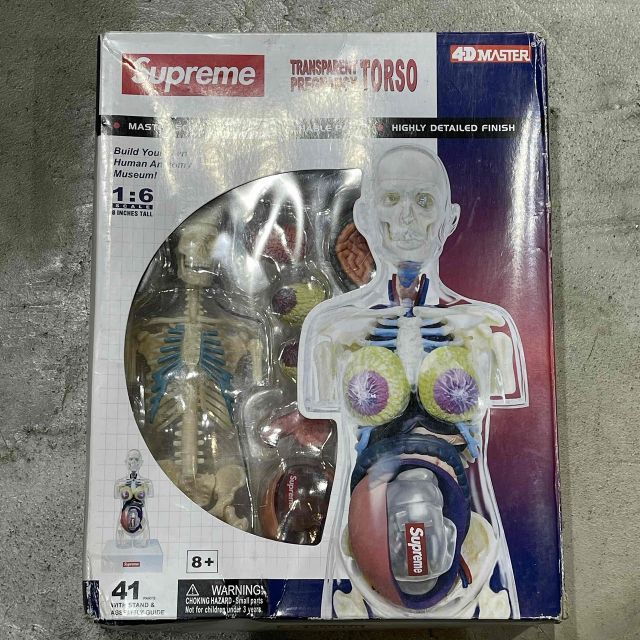 Supreme 18aw Male and Female Anatomy Model 