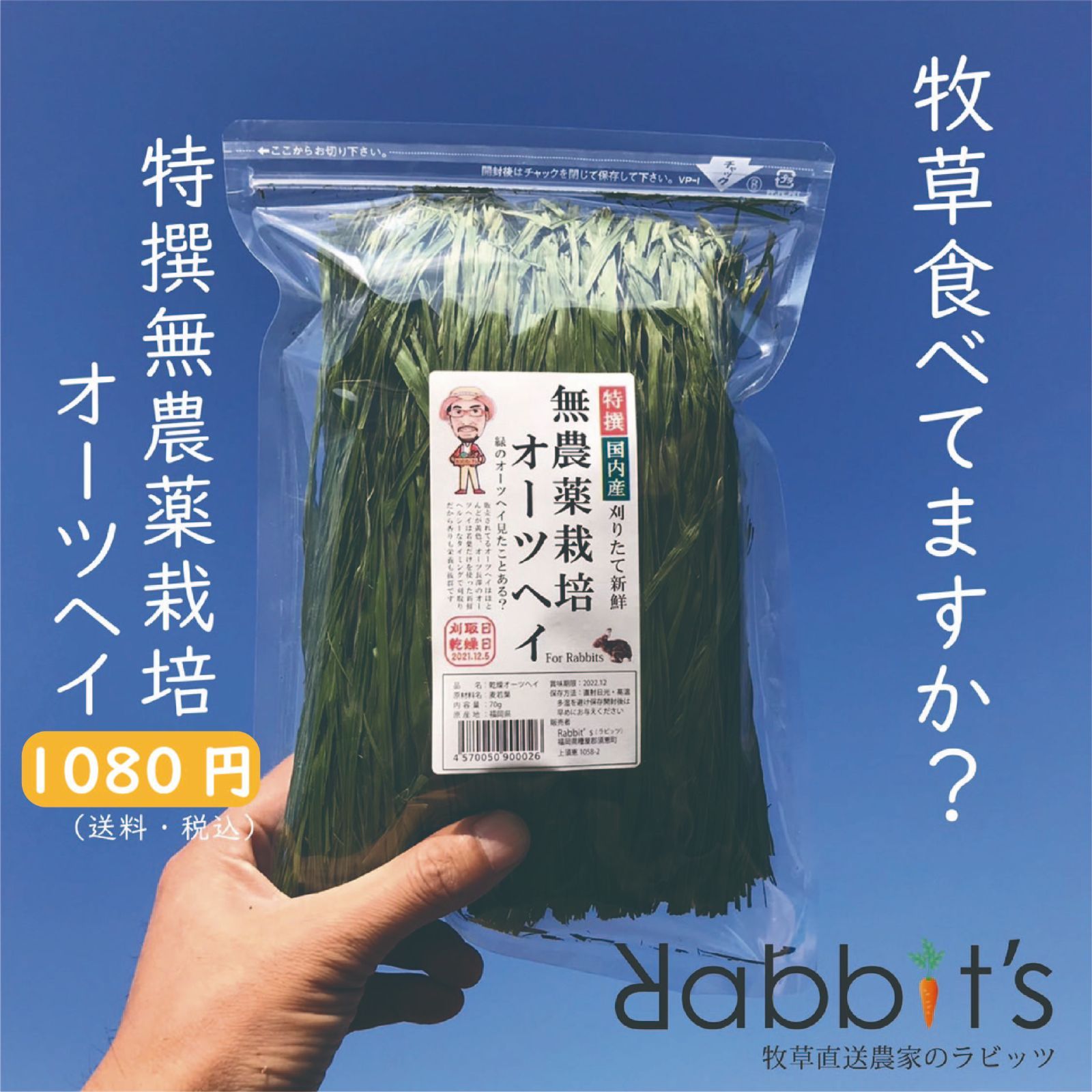 人気NO1】【乾燥】特撰無農薬オーツヘイ70g ラビッツ - メルカリ
