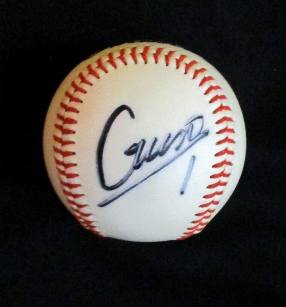 ヤクルトスワローズ 岩村明憲 直筆サインボール 投げ込球 - メルカリ