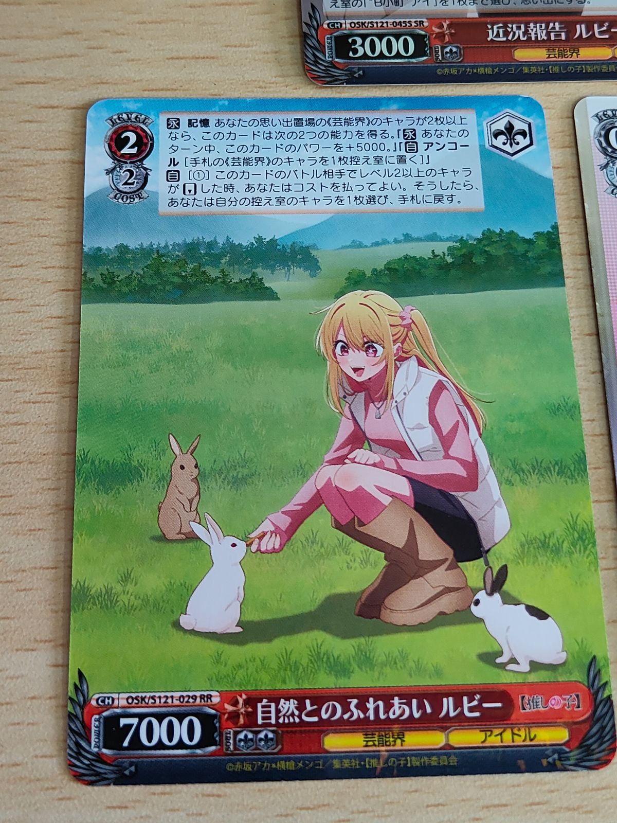 ヴァイスシュヴァルツ 自然とのふれあい ルビー SSP サイン PSA10