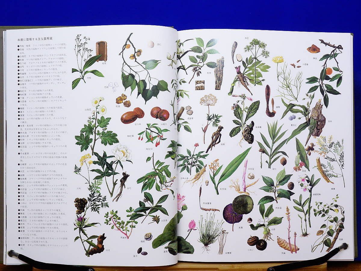 漢方健康料理 全8巻・索引 雄渾社 中医学/薬膳 - メルカリ